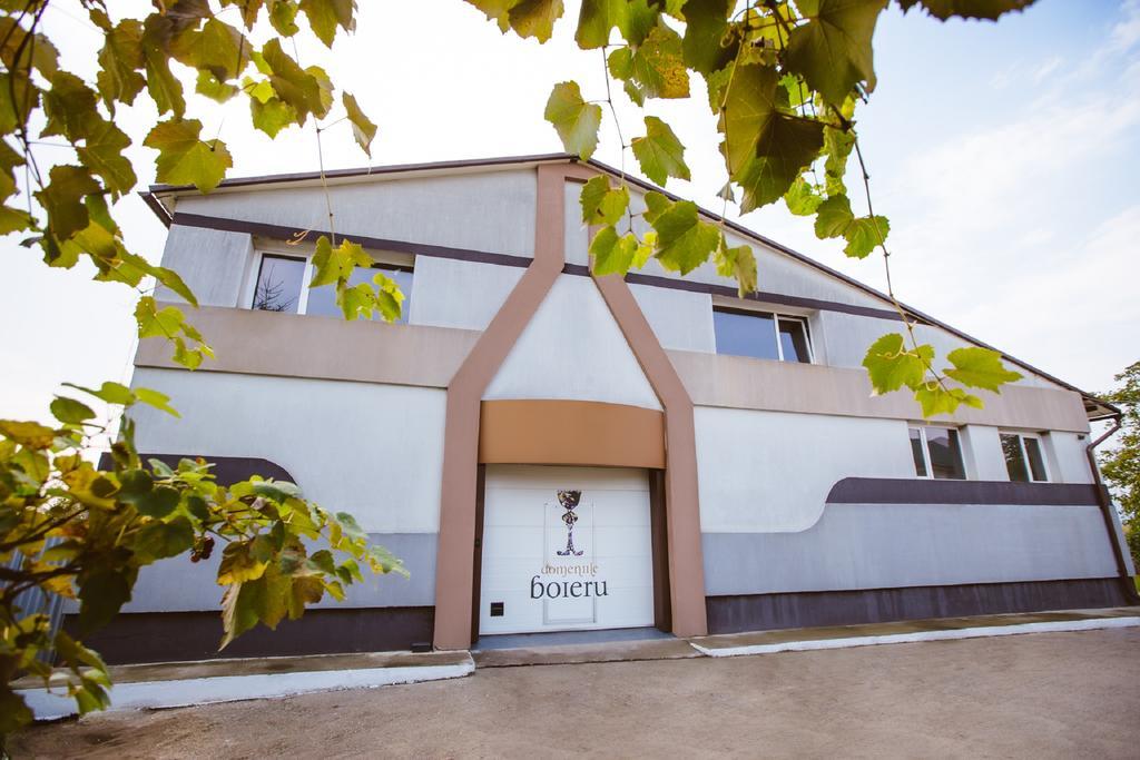 Hotel Casa Domeniile Vinului à Aiud Extérieur photo